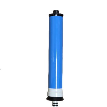 membrane